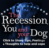 Dog and the Recession