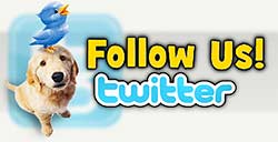 Twitter Link