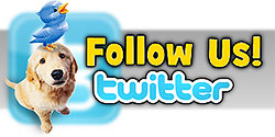 Twitter Link