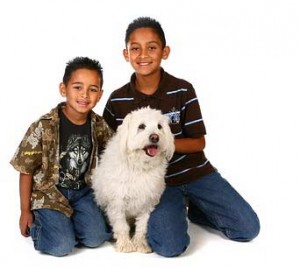 White dog with kids